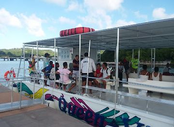 honduras/bay-islands/shop/coral-stone