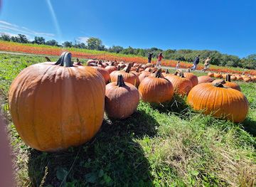 massachusetts/blackstone-valley/shop/wojcik-s-farm