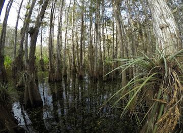 florida/big-cypress-national-preserve/shop/big-cypress-institute