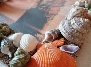 montenegro/budva-riviera/shop/souvenir-shop-suvenirnica