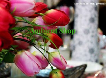 serbia/sumadija/shop/ambient-shop