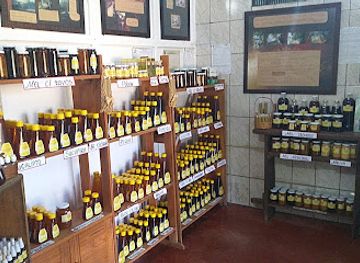 brazil/chapada-dos-veadeiros-national-park/shop/apiario-coracao-do-cerrado