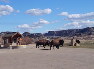 north-dakota/theodore-roosevelt-national-park/shop/north-unit-visitor-center