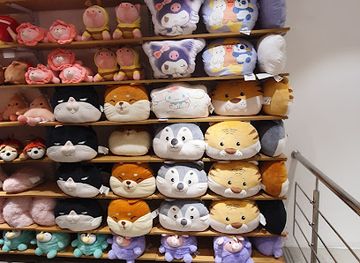 india/shimla/shop/miniso