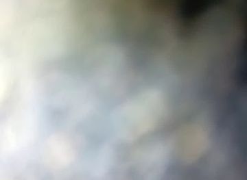 serbia/kraljevo/shop/pcelica