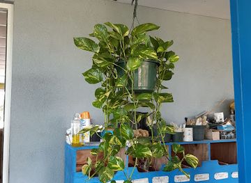 the-bahamas/exuma/shop/garden-creations-plant-centre