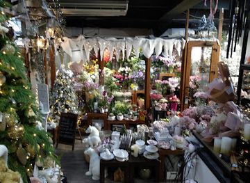 ukraine/zaporizhzhia-region/shop/camellia