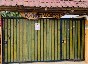 chile/pichilemu/shop/scrunchiesoficial