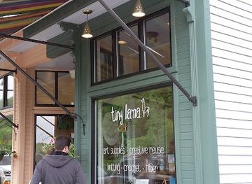 west-virginia/dolly-sods-wilderness/shop/tiny-llama