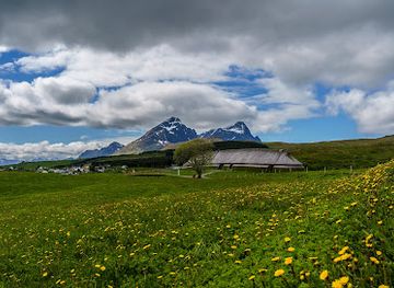 norway/lofoten-islands/shop/lofotr-viking-museum
