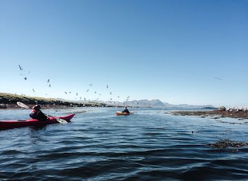 iceland/stykkisholmur/shop/kontiki-kayak-tours