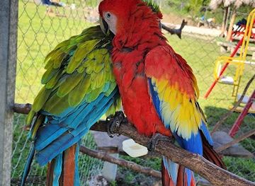 nicaragua/segovias/shop/jalapa-nueva-segovia