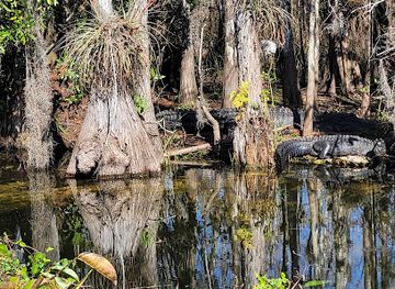 florida/big-cypress-national-preserve/shop/big-cypress-national-preserve