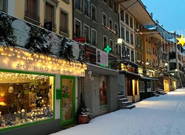 switzerland/thun/shop/catlovers