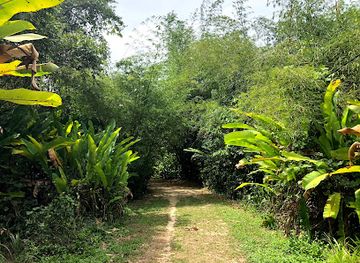 suriname/interior-rainforest/shop/peperpot-nature-park