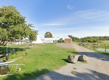 denmark/laso/shop/lasofruerne