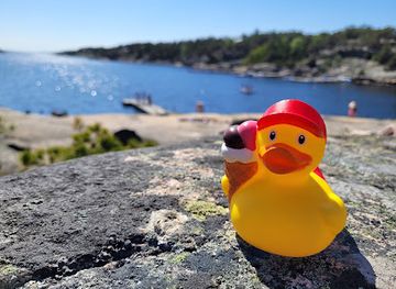 norway/fredrikstad/krakeroy/shop/norway-ducks