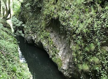 romania/caras-severin/shop/cheile-carasului