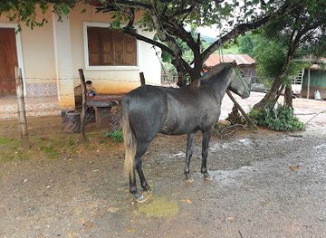 laos/plain-of-jars/shop/toulor-style-fram