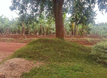 rwanda/kibungo/shop/deo-munyakayanza