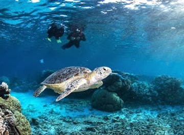 australia/ningaloo-reef/shop/liveaboard-diving