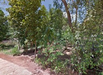 sri-lanka/uva-province/shop/dhanapala-store-s