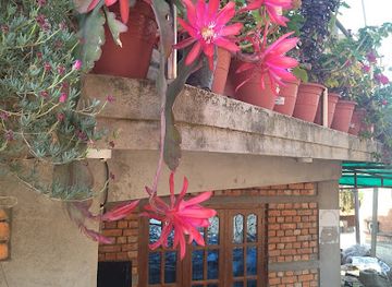 nepal/rolwaling-valley/shop/sunita-cosmetics-and-grocery-shop