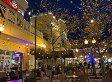 virginia/tidewater/shop/town-center-of-virginia-beach