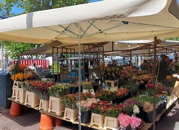 netherlands/utrecht/shop/leiden-street-market-markt