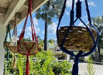 saint-kitts-and-nevis/botanical-gardens-of-nevis/shop/the-olive-tree