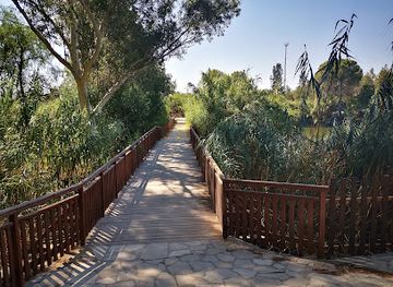 cyprus/machairas-forest/shop/athalassa-national-forest-park