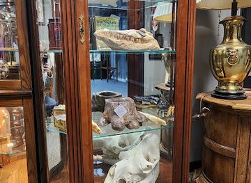 wisconsin/appleton/shop/forty-three-skulls