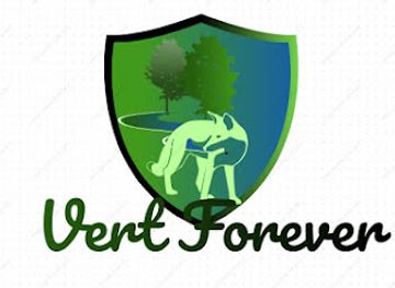 algeria/tassili-n-ajjer-national-park/shop/vert-forever