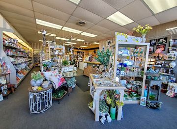 south-carolina/myrtle-beach/shop/the-wacky-rabbit