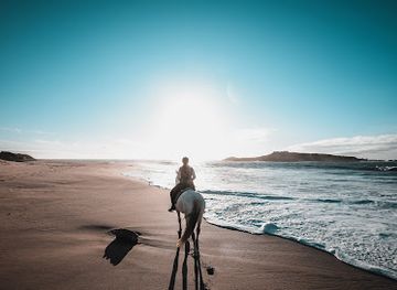 portugal/costa-vicentina/shop/herdade-do-pessegueiro