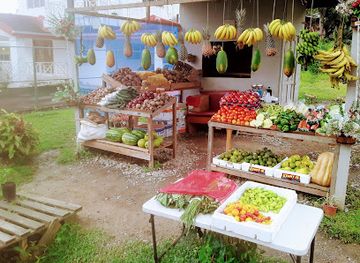 trinidad-and-tobago/nariva/shop/nature-s-gifts