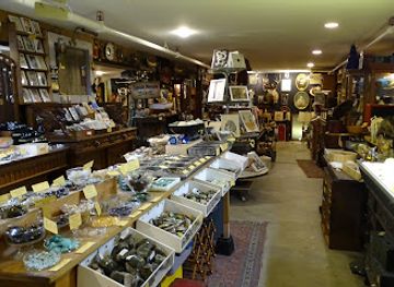 washington/seattle/shop/ballyhoo-curiosity-shop