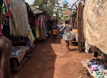 gabon/minkebe-national-park/shop/dja-faunal-reserve