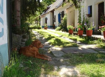 hungary/ferto-region/shop/szent-kristof-satorszallas
