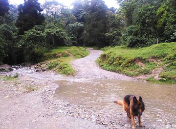colombia/los-nevados-national-natural-park/shop/reserva-ecologica-rio-blanco