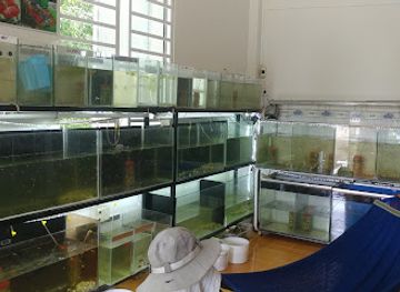 vietnam/phu-quoc/shop/ho-tieu-nhan-kiet-phu-quoc