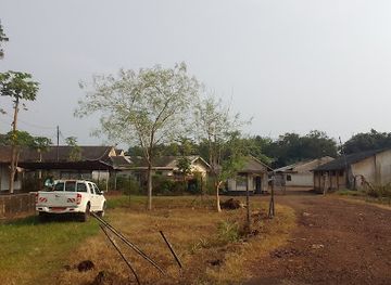 cameroon/tiko/shop/cdc-tiko-rubber-factory