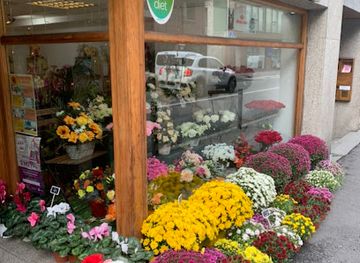andorra/la-massana/shop/borgesflors