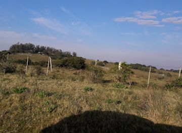 uruguay/cuchilla-grande/shop/establecimiento-las-palmeras