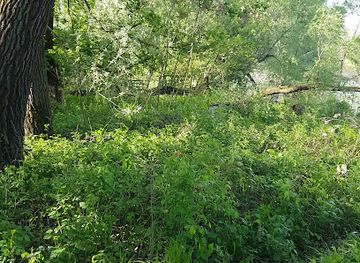 hungary/szigetkoz/shop/hideghety-arpad-lajos-emlekere-az-utolso-kompjarat-30-evfordulojara