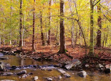 maryland/gunpowder-falls-state-park/shop/big-gunpowder-falls