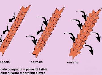 togo/kara-region/shop/vente-de-livres-numeriques