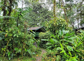 ecuador/mindo-cloud-forest/shop/milpe-bird-sanctuary-mindo-cloudforest-foundation