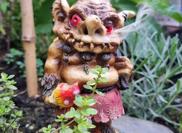 united-kingdom/caithness/shop/spellbound-caithness