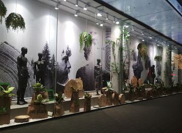 ukraine/vysokyi-verkh/shop/ave-plaza